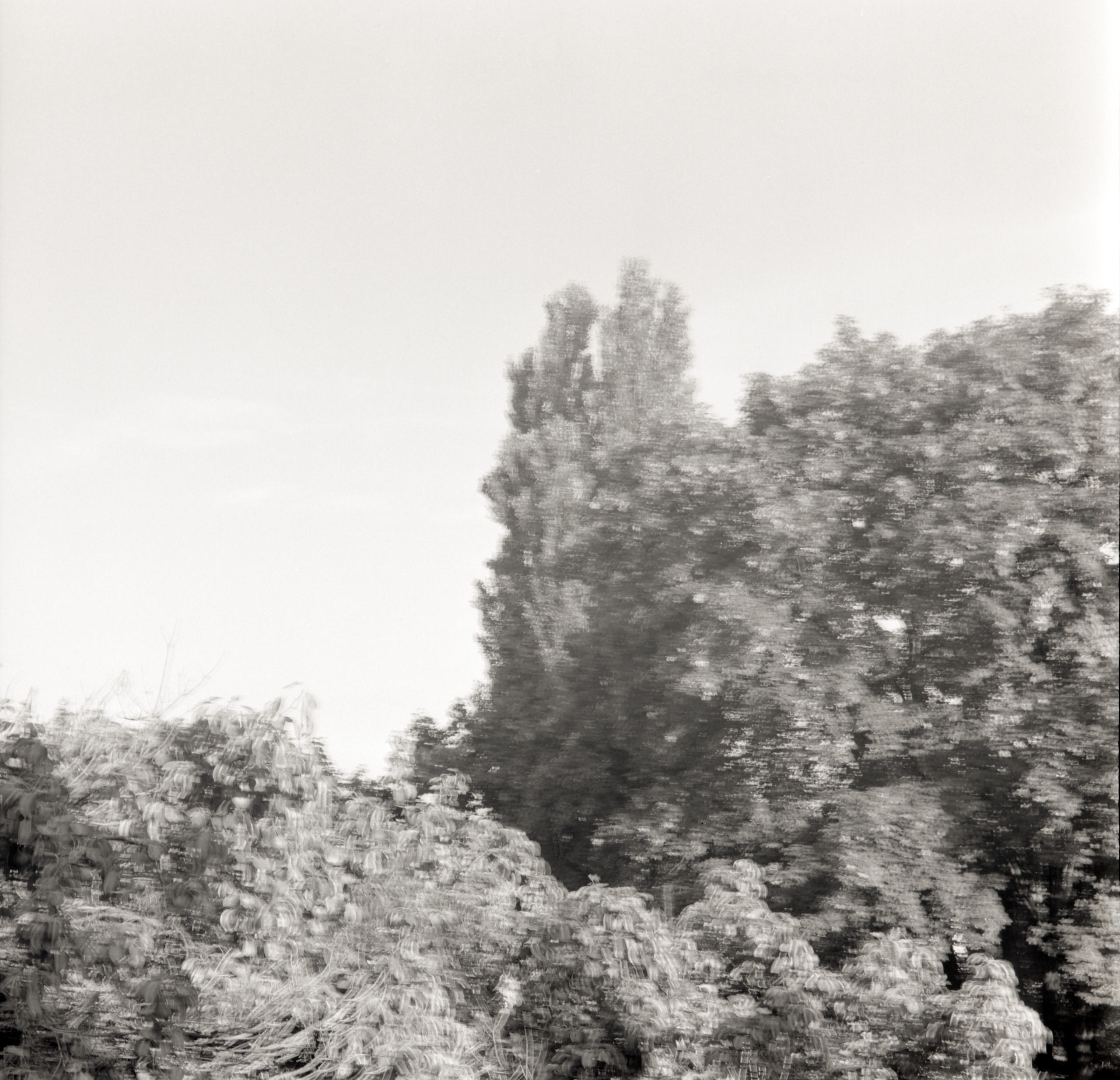 AHP FilmScan 240808 0977